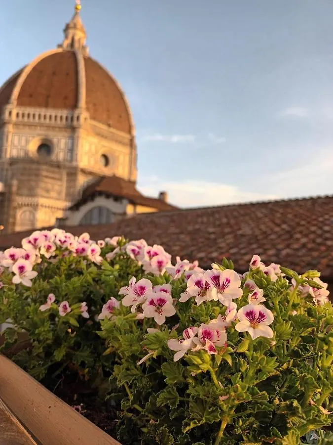 Duomo Suites Florencie 0*,